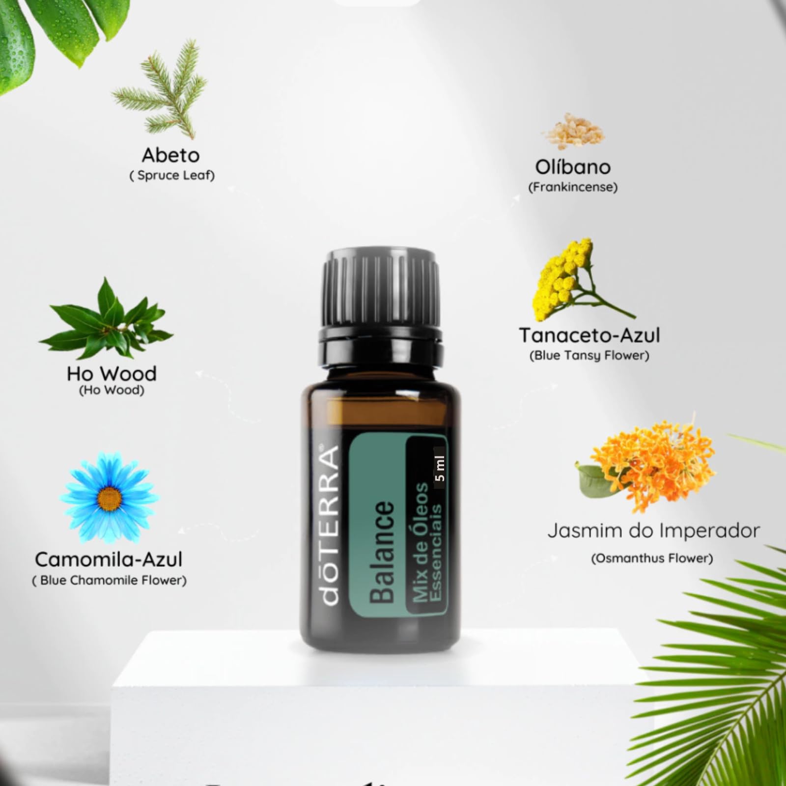 Mix de Óleos Essenciais Balance Doterra 5 ml : Amazon.com.br